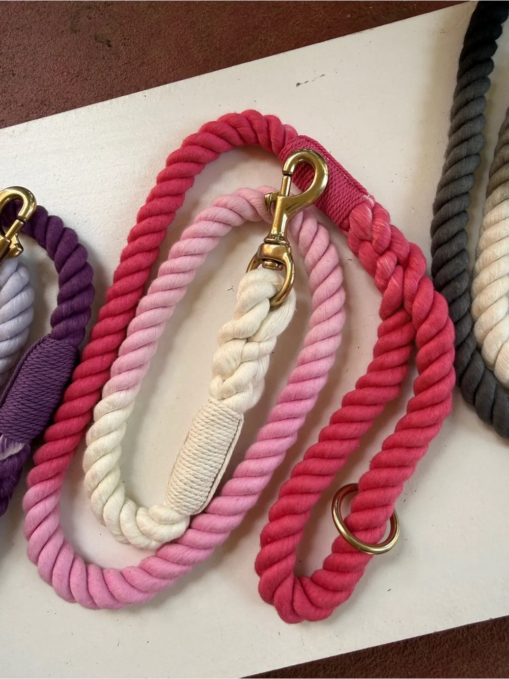Ombre 50” rope leach for dogs